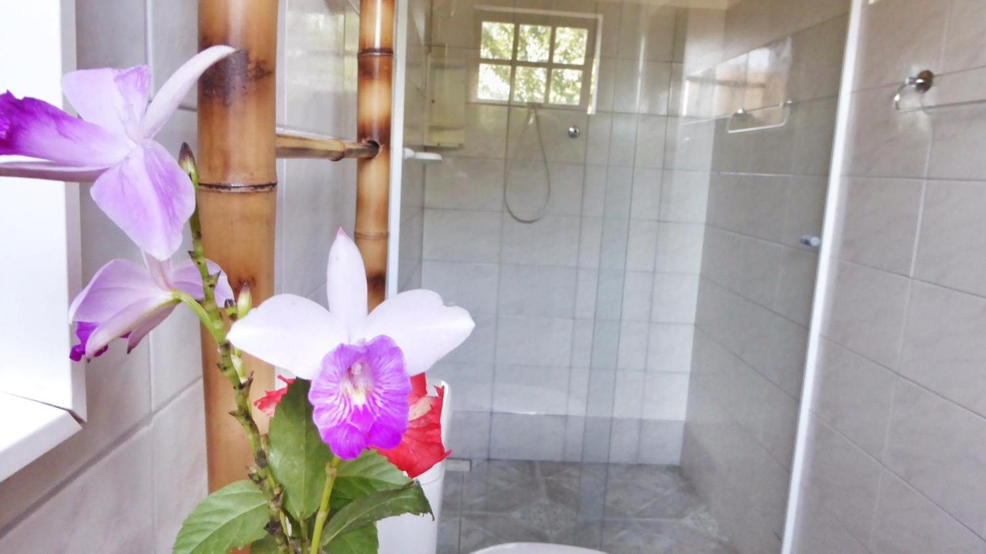 Bed & Breakfast Planeta Banana
