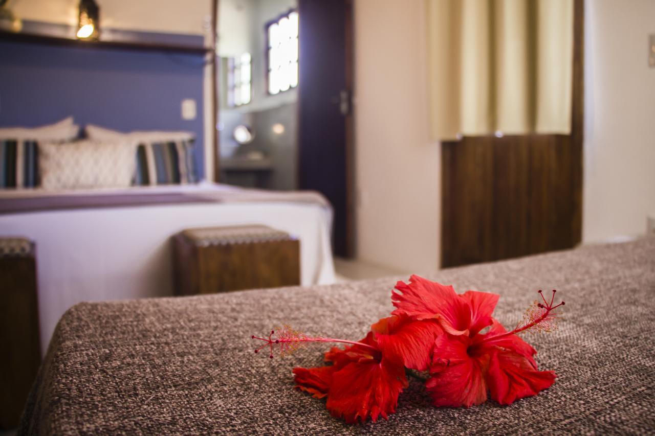 Bed & Breakfast Planeta Banana